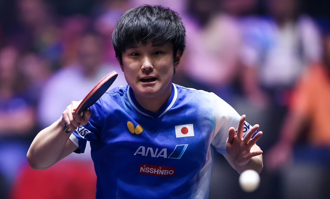 波兰乒乓球队绝地反击日本乒乓球队,张本智和惊艳世界 波兰乒乓球队绝地反击日本乒乓球队,张本智和惊艳世界