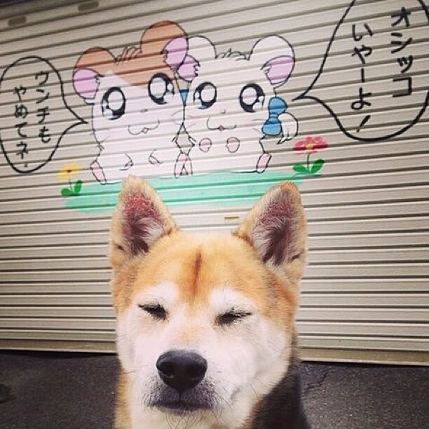 从瑞士单节拉开阿尔及利亚,到布鲁诺英超争冠接管比赛,关键时刻的唯一性艺术