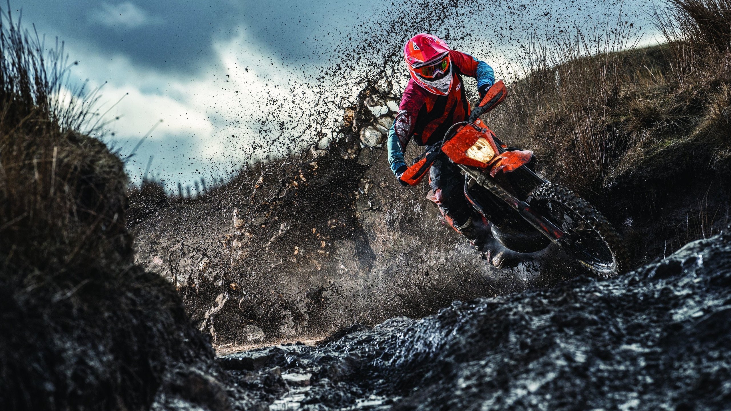 赛道上的传承与颠覆，皮亚斯特里率队绝杀威廉姆斯，法拉利新纪元开启